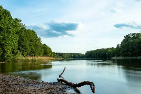 Grunewald