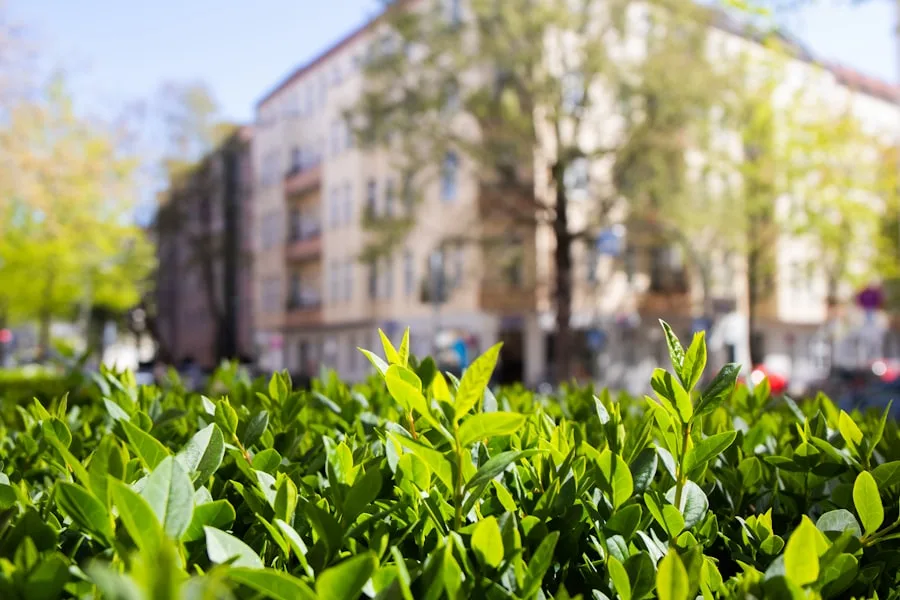 Vegetación y edificios burgueses en Wilmersdorf, Berlín