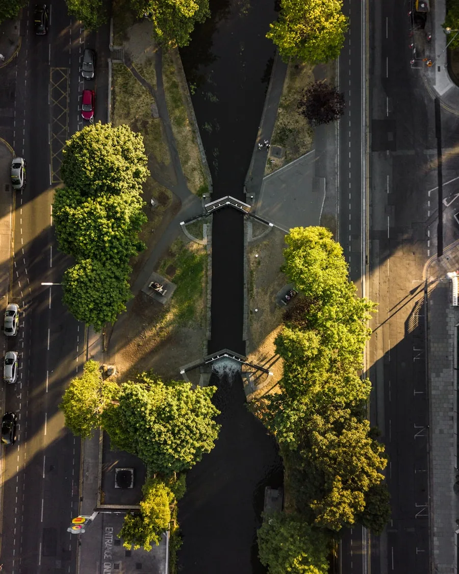 Aerial view of Donnybrook Dublin canal trees and Georgian streets