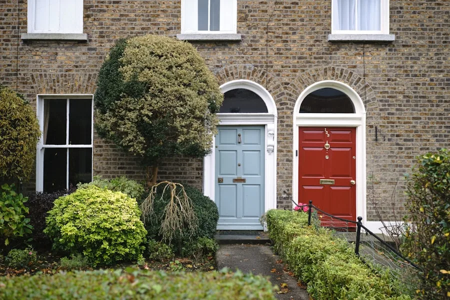 Stradă georgiană din Dublin cu uși colorate
