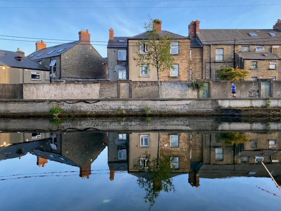 Dublin canal bridge and architecture
