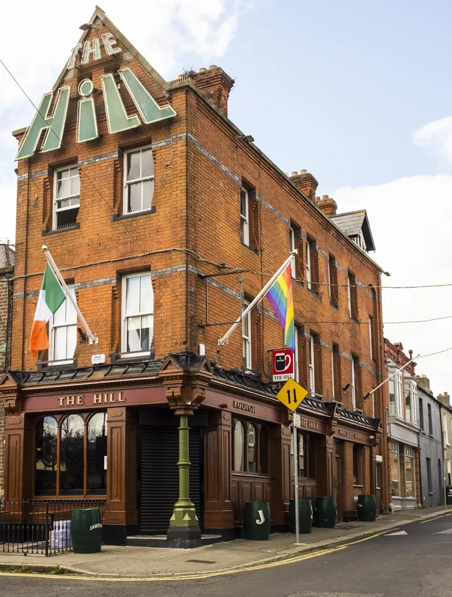Pub-ul The Hill din Ranelagh Dublin cu fațadă din cărămidă și steaguri