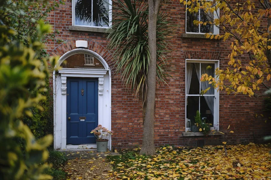 Dublin colorful Georgian doors