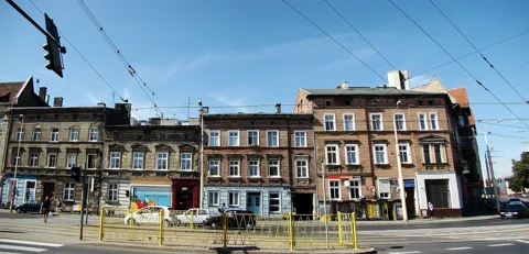 Turzyn