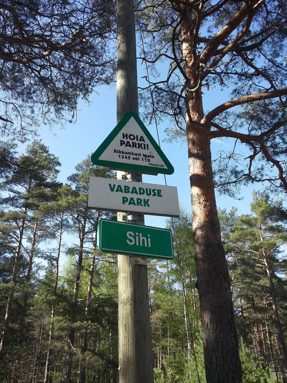 Kiefernwaldweg im Vabaduse-Park, Nõmme, Tallinn