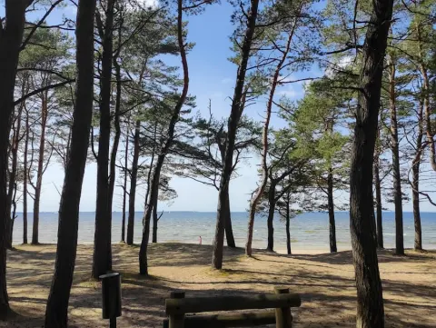 Pirita