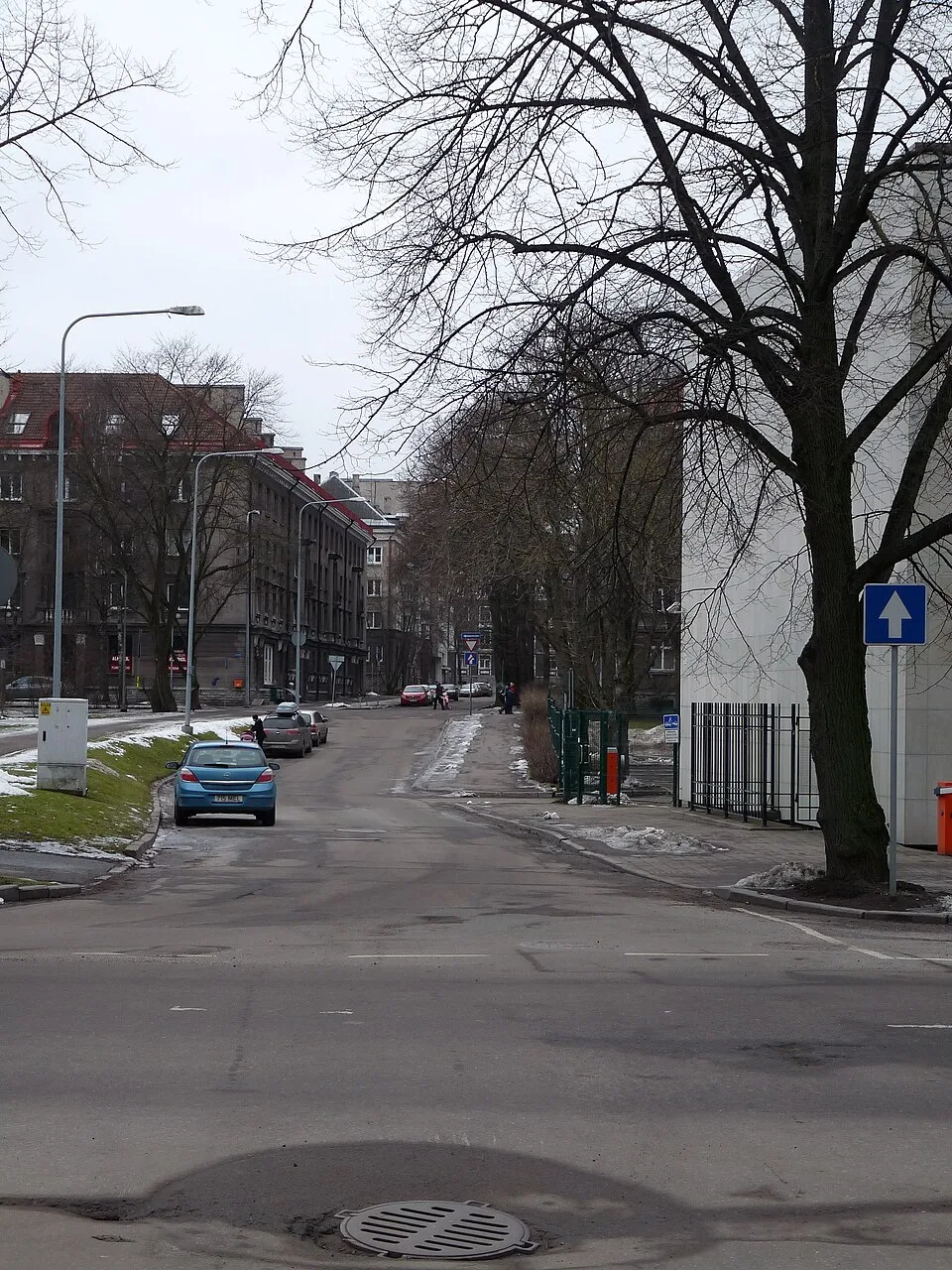 Via Kauka a Sibulaküla, Tallinn centrale
