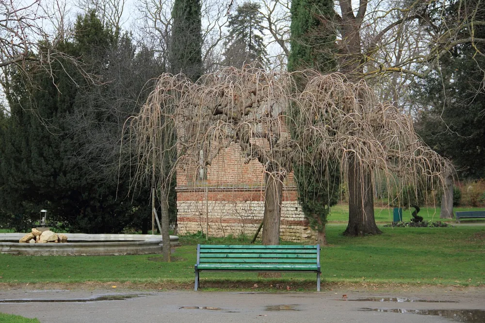 Tree-lined path in the Jardin des Plantes in Toulouse