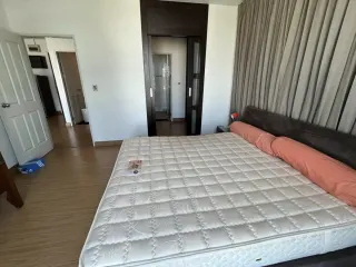 Valgusküllane tuba colivingus