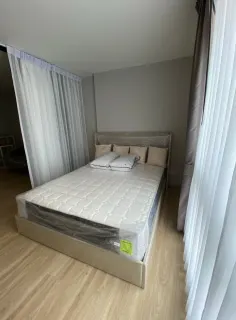Tuba noores colivingus, Avenida Doutor Augusto de Castro