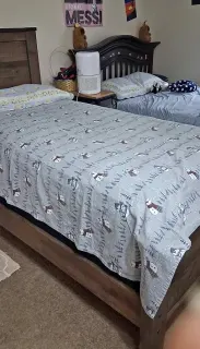 Cameră dublă în casă partajată, Clarence Place Great
