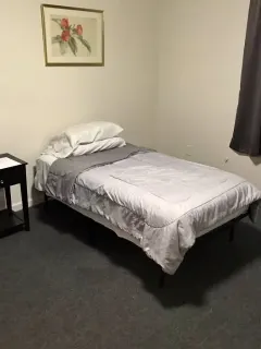 Room in friendly household
